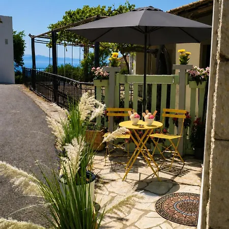 Anassa Nest